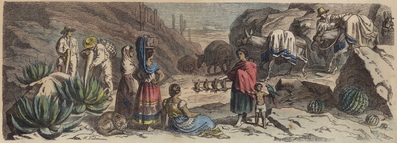 En bergsväg i Mexiko (färgad gravyr) av Heinrich Leutemann