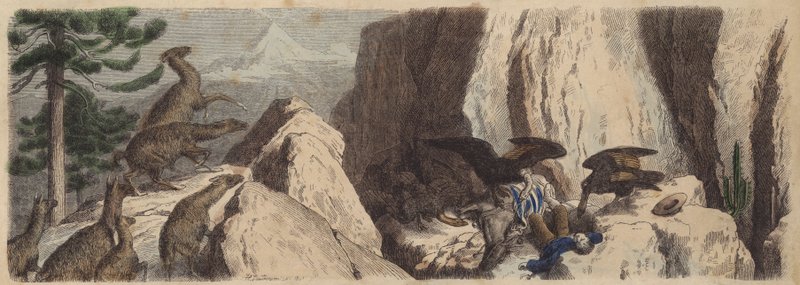 Chilenska Anderna (färgad gravyr) av Heinrich Leutemann