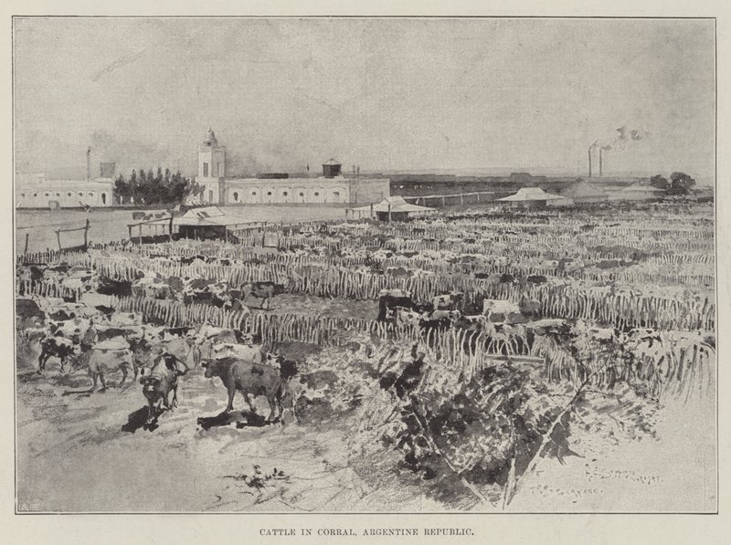 Boskap i Corral, Argentina av Henry Charles Seppings Wright