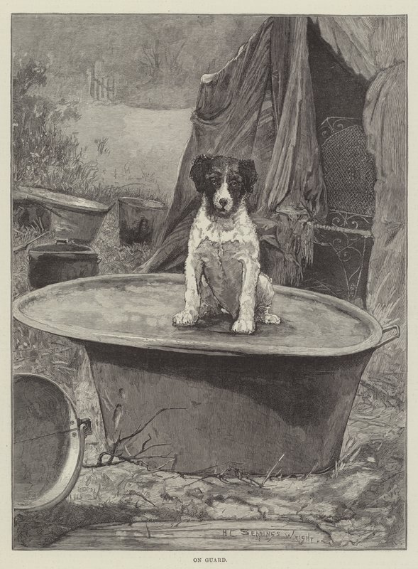 På vakt av Henry Charles Seppings Wright
