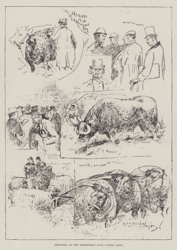 Skisser på Smithfield Club Cattle Show av Henry Charles Seppings Wright