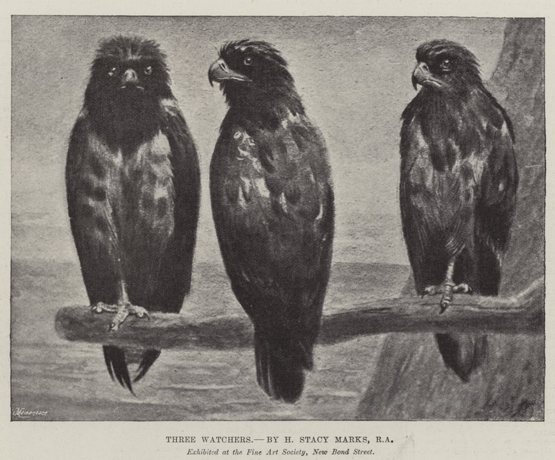 Tre iakttagare av Henry Stacey Marks