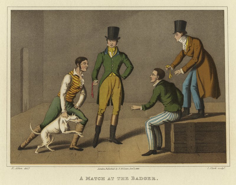 En match på Badger (chromolitho) av Henry Thomas Alken