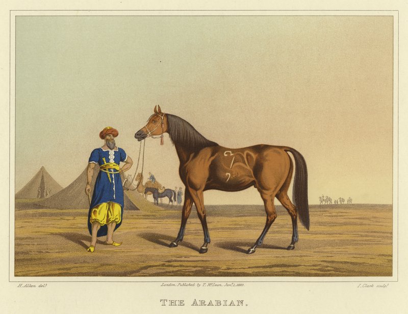 Arabiska (chromolitho) av Henry Thomas Alken