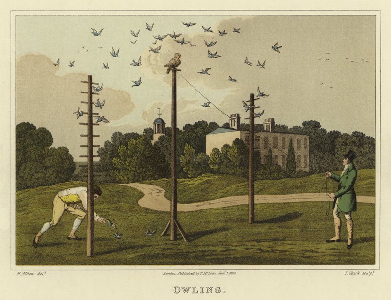 Uggla (chromolitho) av Henry Thomas Alken
