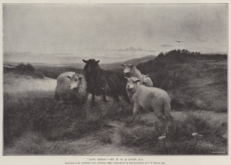 Förlorade får av Henry William Banks Davis