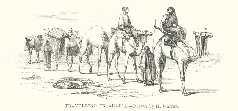 Resa i Arabien (gravyr) av Henry (after) Warren