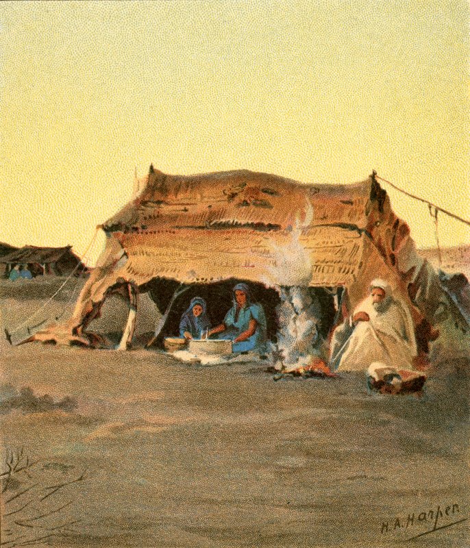 Tältliv av Henry Andrew Harper