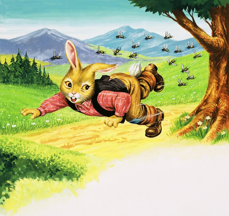 Björnkanin av Henry Charles Fox