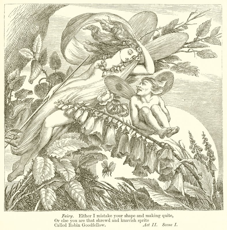 En midsommarnattsdröm av Henry Courtney Selous