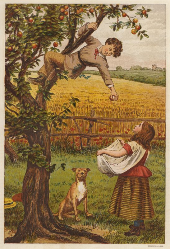 Plocka äpplen (färg litho) av Henry Robert Robertson