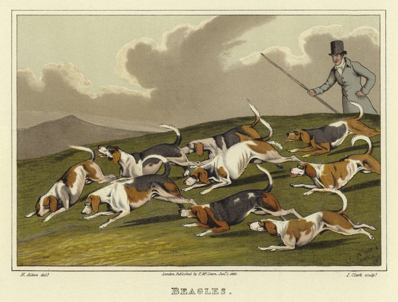 Beagles (chromolitho) av Henry Thomas Alken