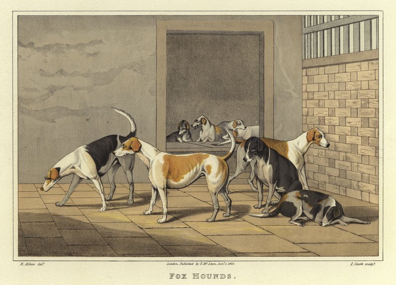 Fox Hounds (chromolitho) av Henry Thomas Alken