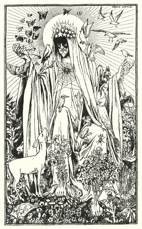 Robin rödbröst (litografi) av Horace J. Knowles