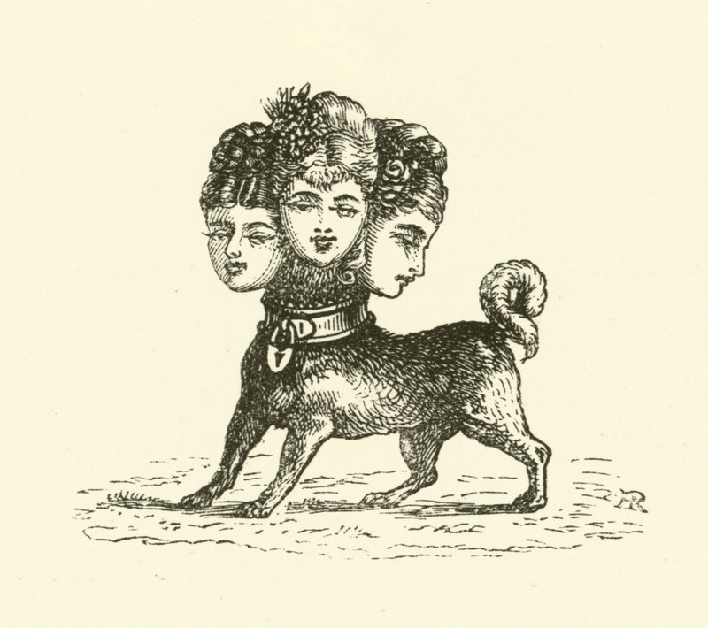 Cerberus hona (gravyr) av Hugh Rowley