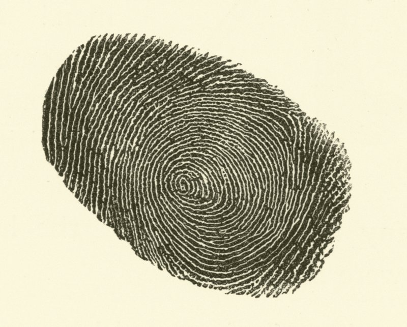 Fingeravtryck (gravyr) av Hugh Rowley