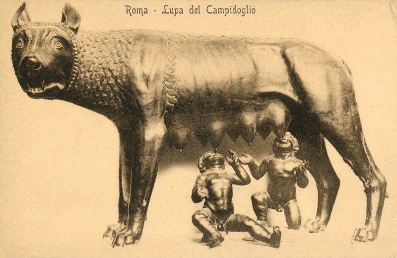 Rom, vargen från Campidoglio av Italian Photographer
