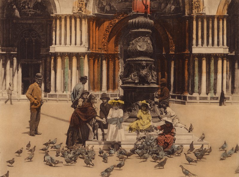 Venedig / Venedig: Piccioni (foto i färg) av Italian Photographer