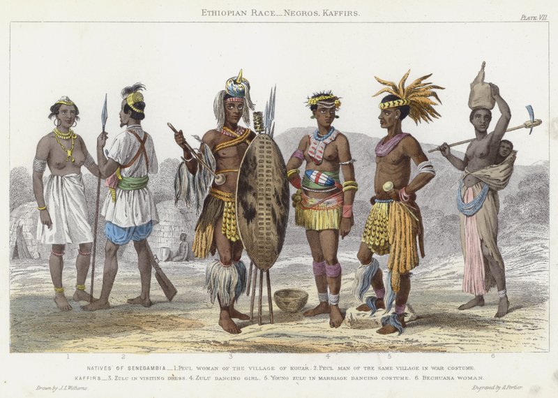 Etiopisk ras, Negros, Kaffirs (färgad gravyr) av J.L. (after) Williams