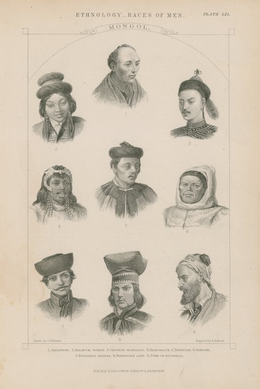 Nio ansikten av olika mongoliska raser av J.L. Williams