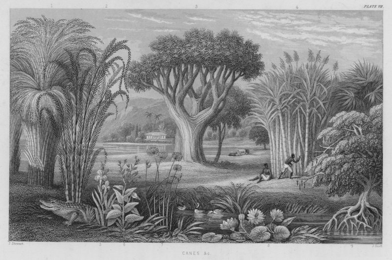 Käppar etc (färgad gravyr) av J. (after) Stewart