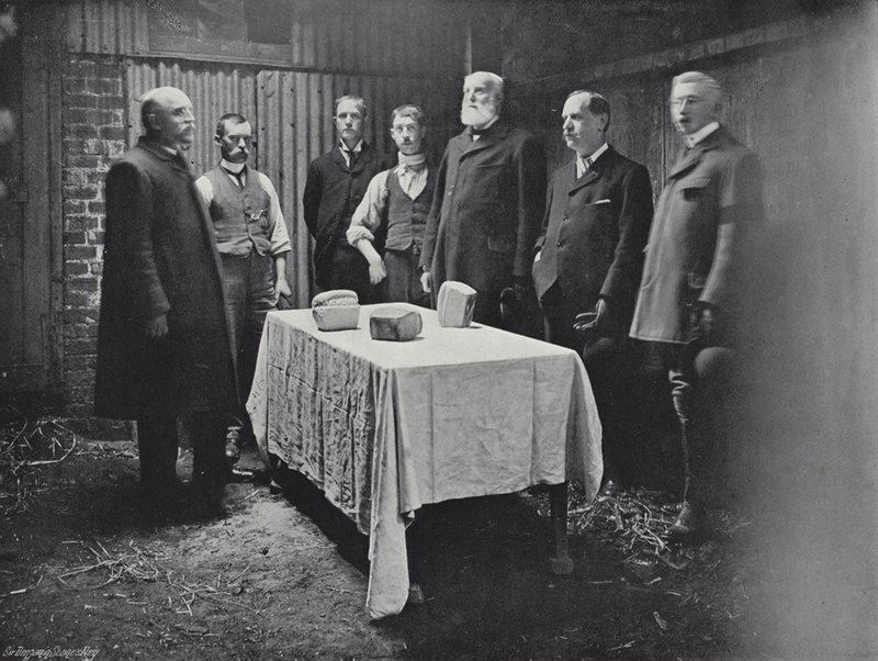 Utdelning av Carlows välgörenhet av J. Benjamin Stone