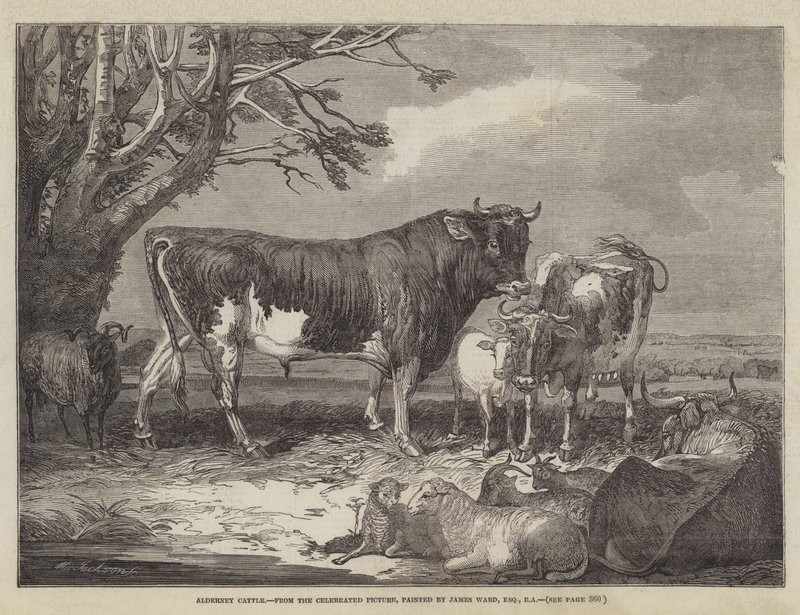 Alderney boskap av James Ward