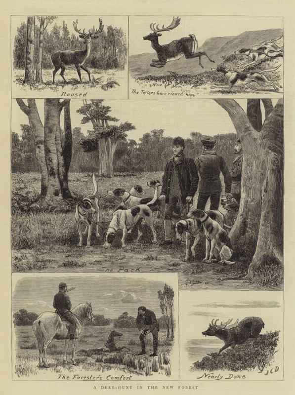 En rådjursjakt i New Forest av John Charles Dollman