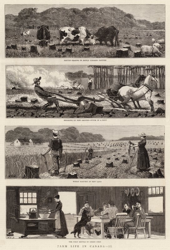 Farm Life i Kanada, II av John Charles Dollman