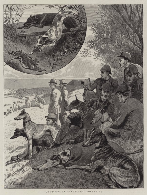 Coursing i Cleveland, Yorkshire av John Charlton