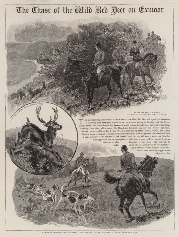 Jakten på den vilda kronhjorten på Exmoor av John Charlton