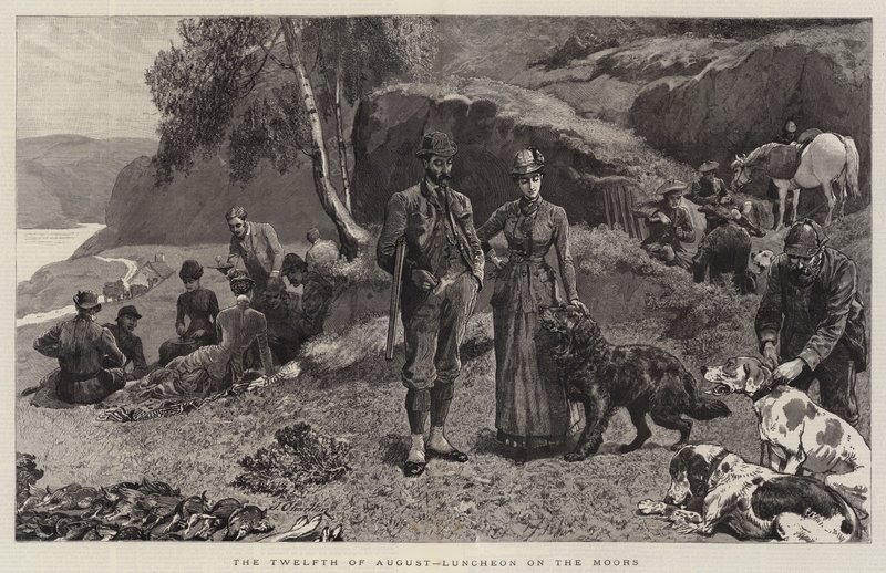 Den tolfte augusti, lunch på myrarna av John Charlton