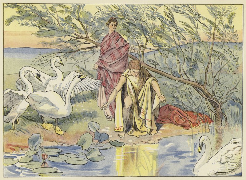 Narcissus av John Shenton Eland