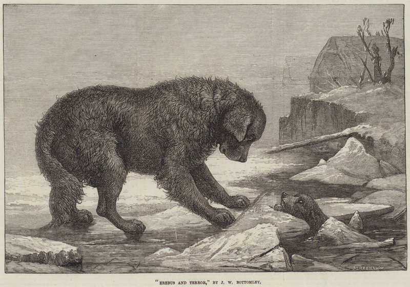 Erebus och terror av John William Bottomley
