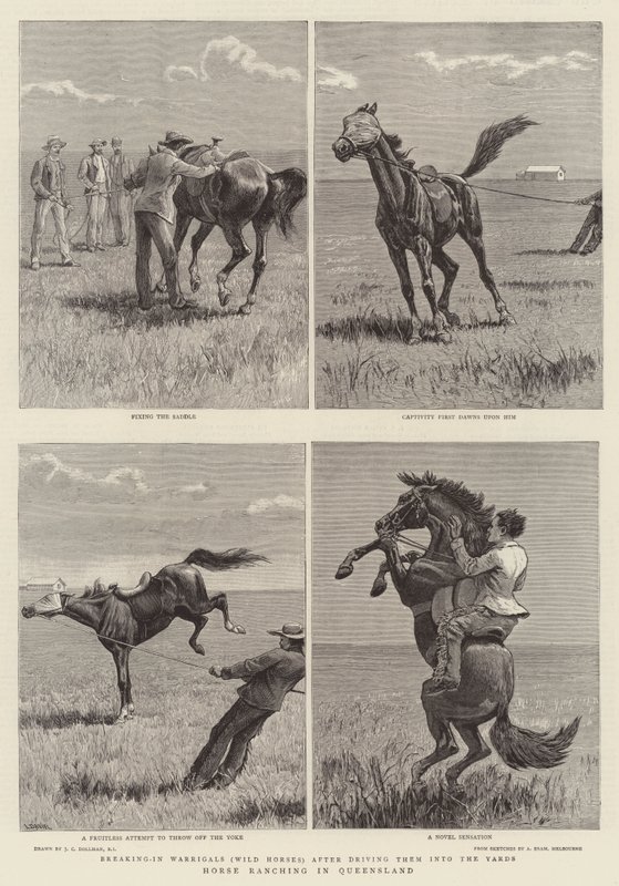 Horse Ranching i Queensland av John Charles Dollman