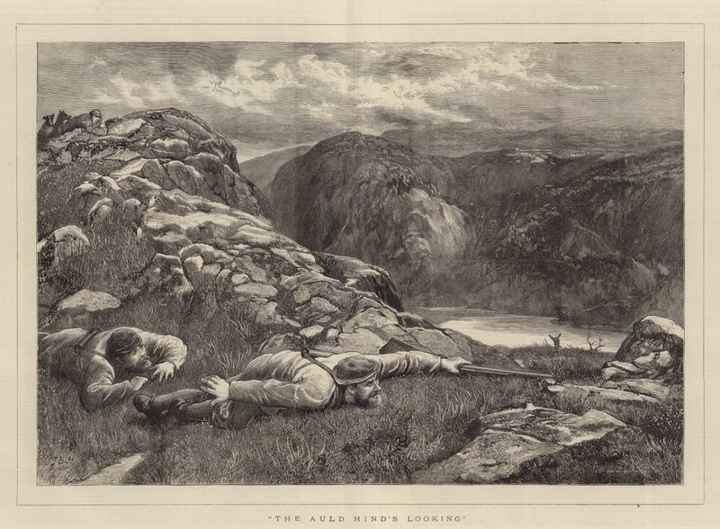 Auld Hind ser ut av John Evan Hodgson