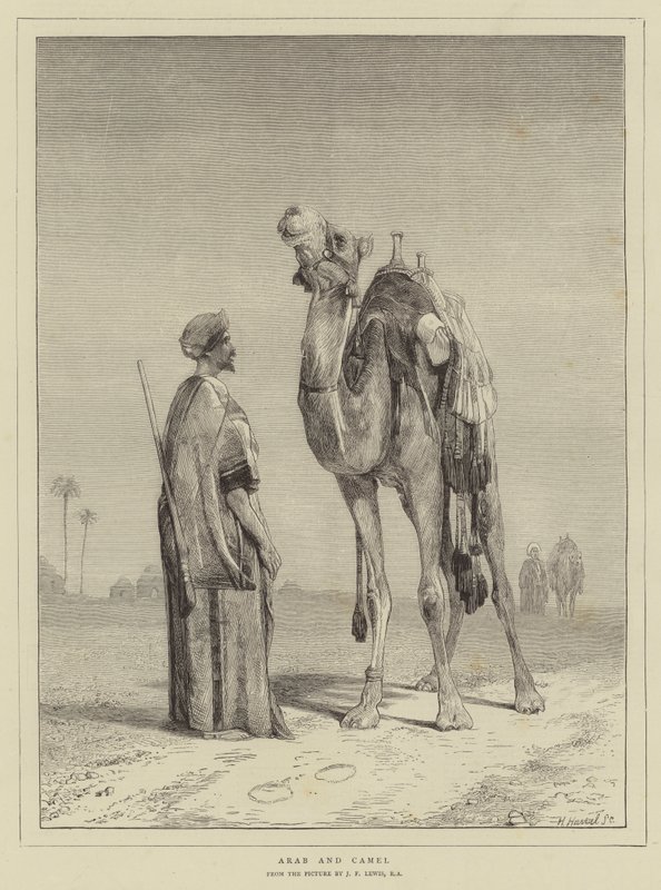 Arab och Camel av John Frederick Lewis