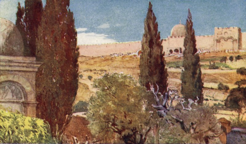 Cypresserna i Getsemane trädgård av John Fulleylove