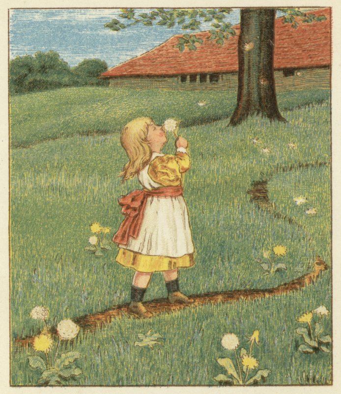 Maskrosfrön (färg litho) av John George (after) Sowerby