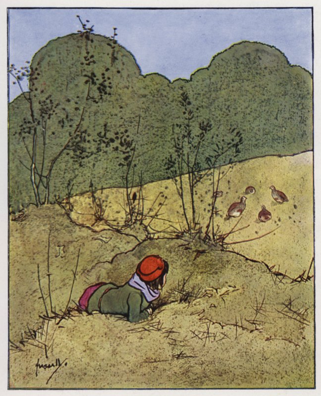 Rapphönan (färg litho) av John Hassall