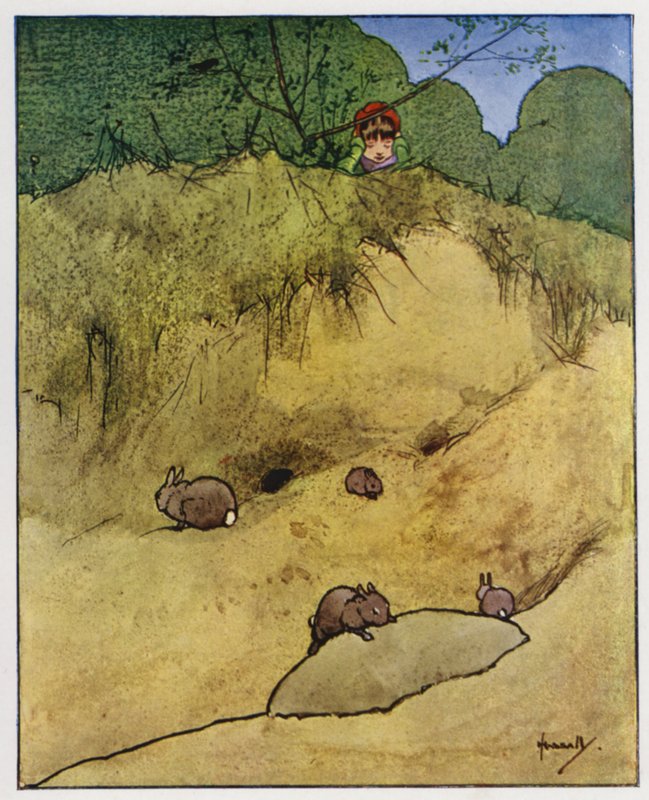 Kaninen (färg litho) av John Hassall