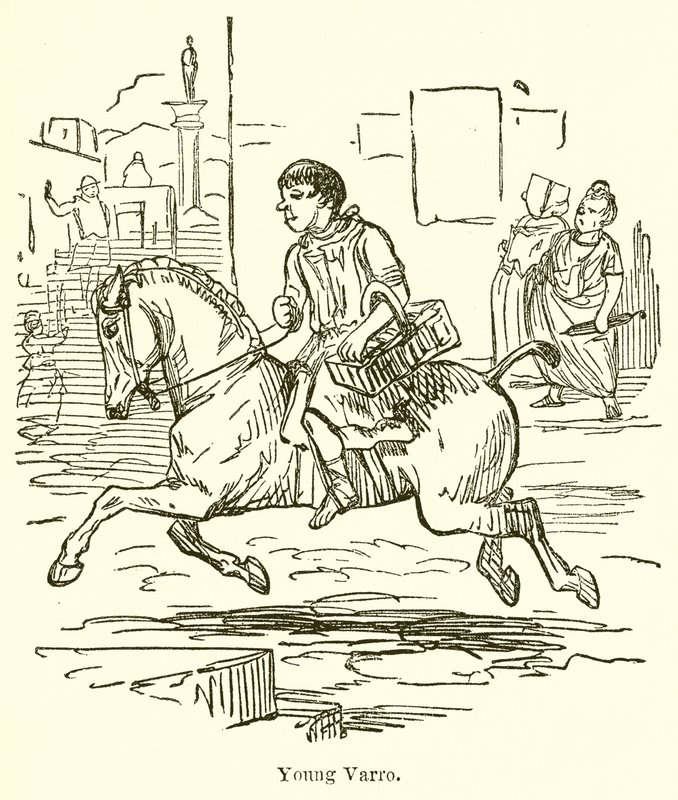 Unga Varro av John Leech