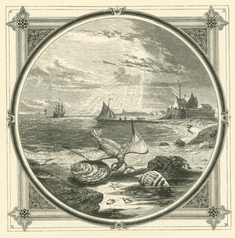 Bitaren biten (gravyr) av John Leighton
