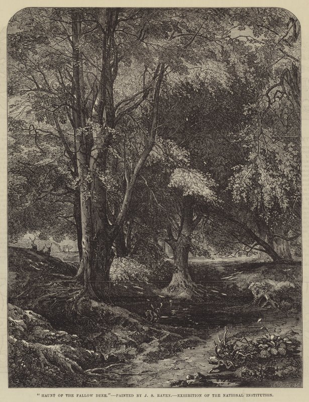 Dovhjortens tillhåll av John Samuel Raven