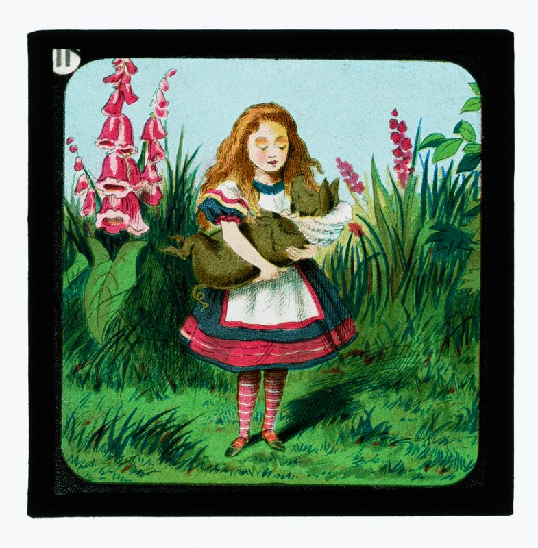 Alice i Underlandet, färgade lyktabilder av John Tenniel