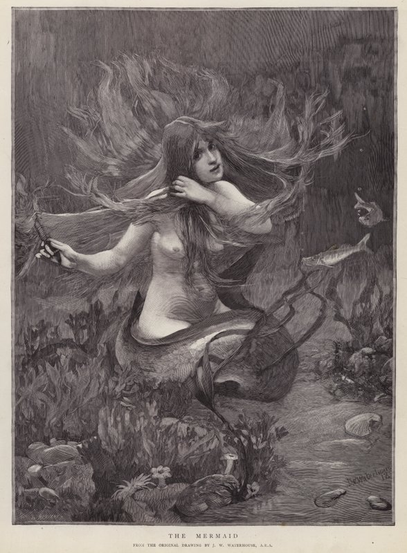 Sjöjungfrun (litho) av John William (after) Waterhouse