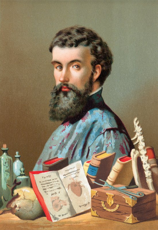 Andreas Vesalius av Jose Armet Portanell