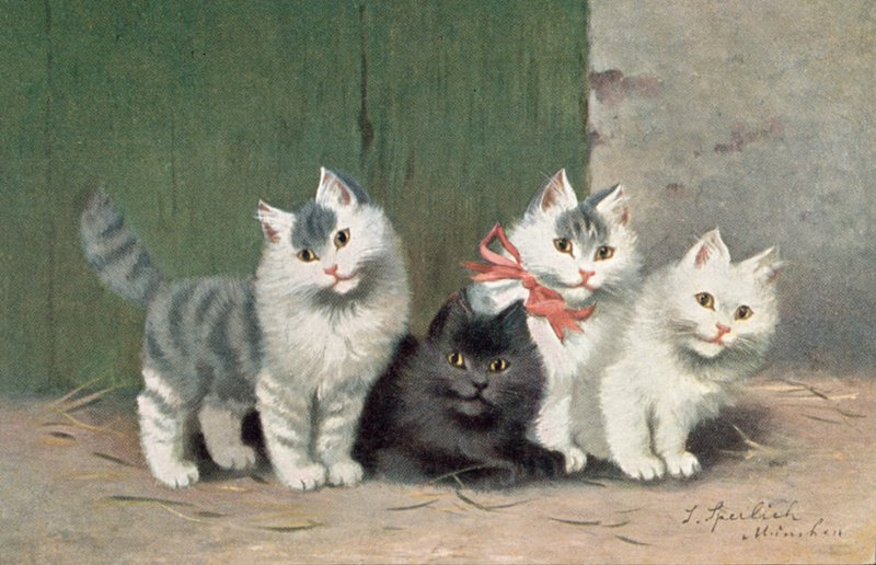 Vykort med katt (färglitografi) av Josef Sperlich