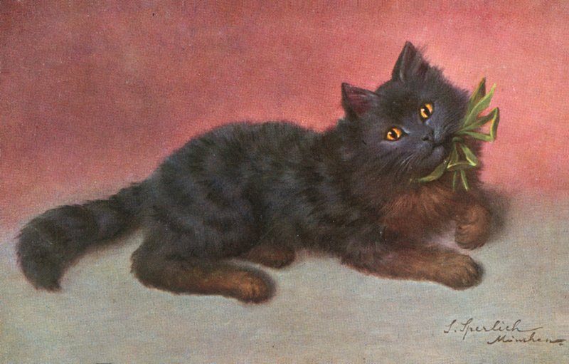 Vykort med katt (färglitografi) av Josef Sperlich