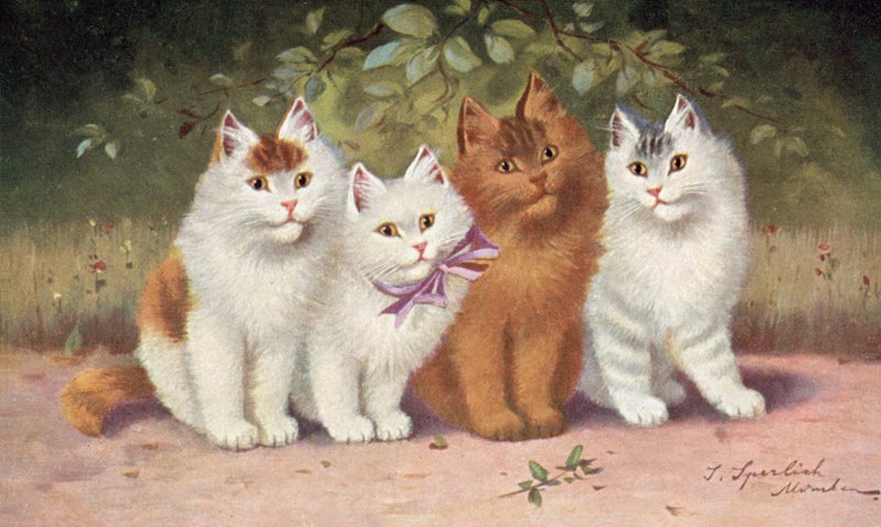 Vykort med katt (färglitografi) av Josef Sperlich